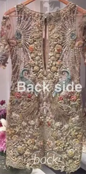 Latest Light Fawn Embroidered Shirt Back Side Picture