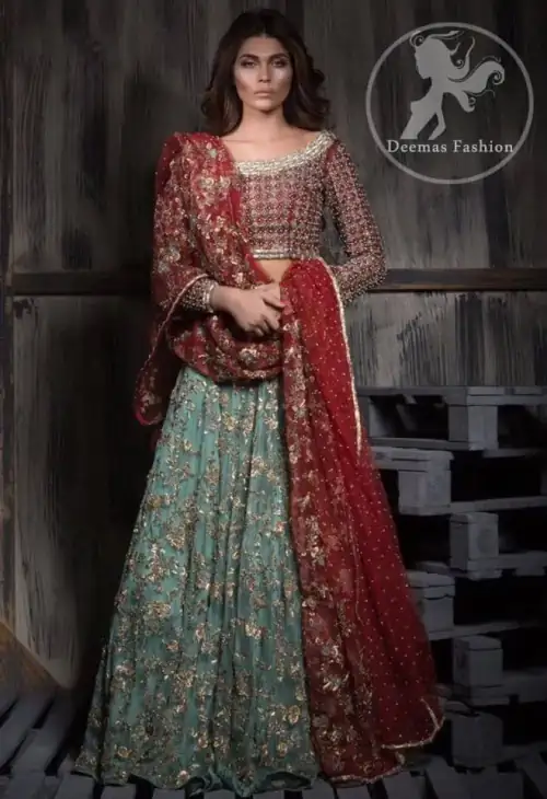 Deep Red Bridal Choli. Fully embroidered blouse.Embroidered full sleeves.Embroidered jaal scattered all over the front and back of the skirt.