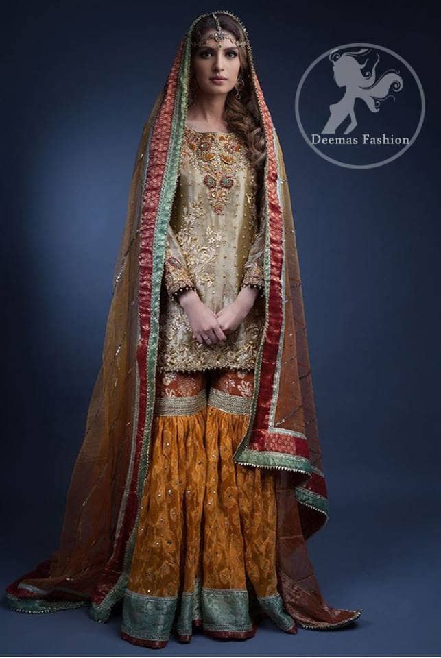 Multiple Color Traditional Mehndi Wear Gharara