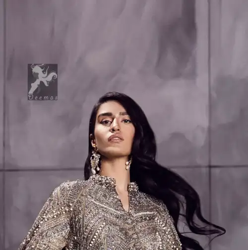 Fawn brown silky maxi has embellished bodice and sleeves. Bodice and sleeves have been embellished with dark gray embellishment and