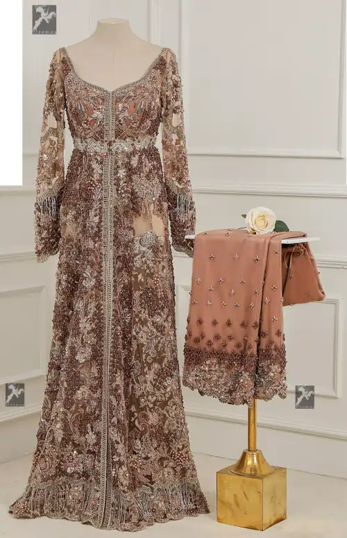 Light brown front open net maxi having brandy rose bodice. Maxi adorned with brown, light golden, champagne and silver embellishment.