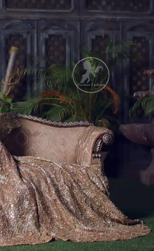 This dress is beautifully sculptured with floral embroidery. It is meticulously highlighted with silver kora, dabka, tilla, sequins and pearls.