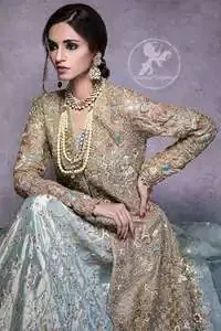 Regent Gray Lehengha Gown Dupatta Antique Work