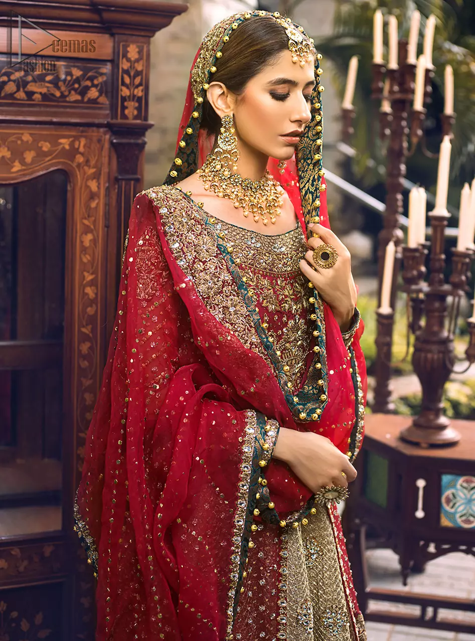 The lehenga with hand embroidery all over and finished with Velvet appliqued borders completes the look.