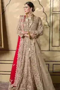 To develop a sense of elegance, pure organza is chosen as the exceptional fabric of the entire attire, finally readying the dress to bloom your walima nikkah day.