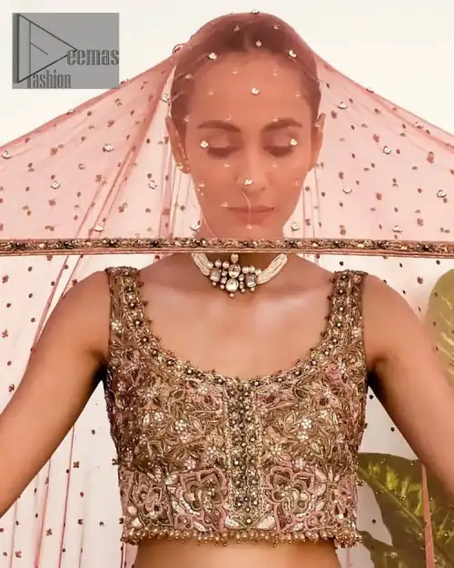 The perfect outfit for walima to enhance your glow. Starting this article with a dream rust blouse having a strap