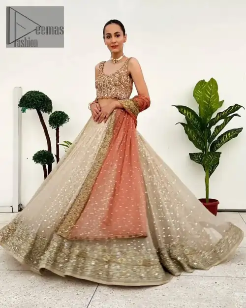 The perfect outfit for walima to enhance your glow. Starting this article with a dream rust blouse having a strap