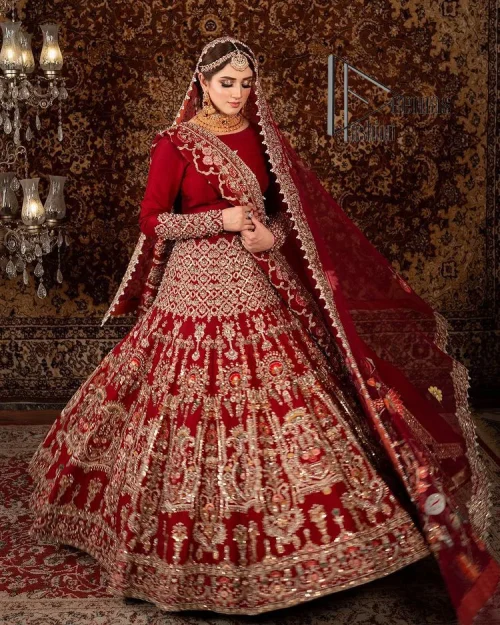 There is a shade of deep red for every bride. This Pakistani reception article begins with a deep red blouse