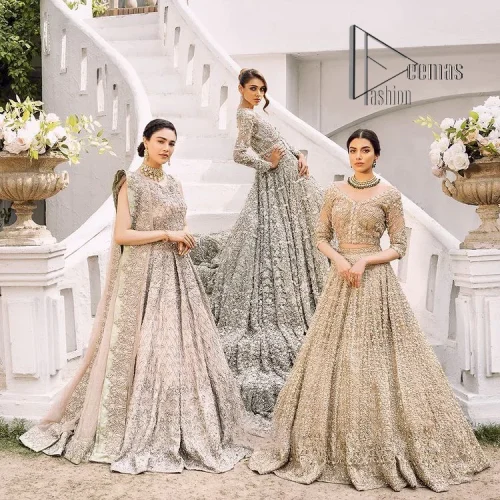 Silver Back Train Flare Maxi – Dupatta