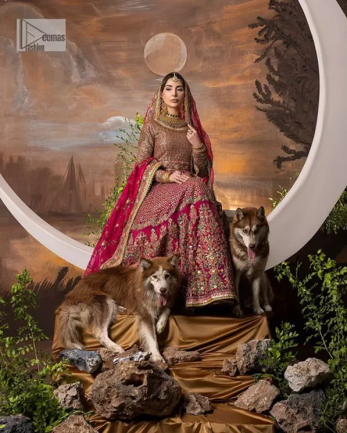 Experience the true essence of reception wear in alluring attires from DeemasFashion. The host pink pishwas is decorated with multiple