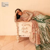 Peach Front Open Maxi – Crushed Lehenga – Dupatta - Image 9