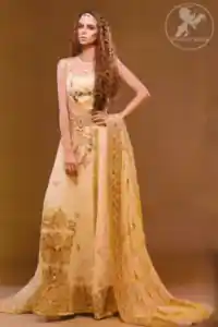 Beige Angrakha Pishwas with Embellished Dupatta